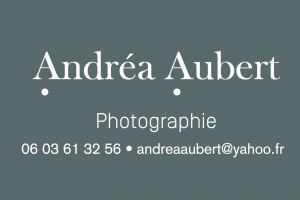 logo Andrea